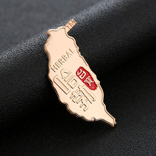 Factory in China Promotional Gift Metal Hard Enamel Pin Badge Metal Logo Custom 